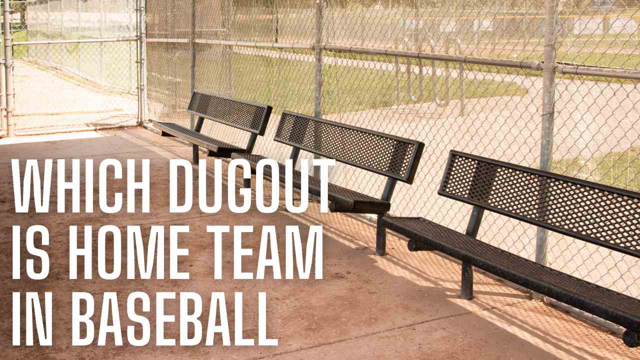A single-file of benches, resembling a dugout team from The Remarkable Guide to Baseball Dugout Choices