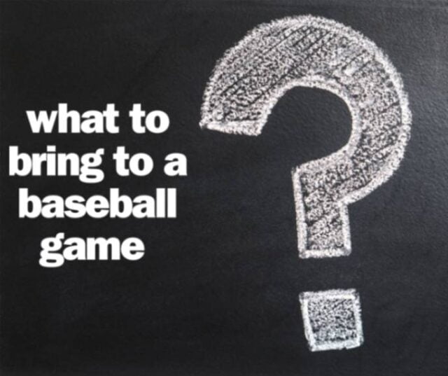 Read more about the article The Ultimate Checklist What to Bring to a Baseball Game