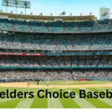 Fielders Choice Baseball The Path to Professional Play